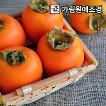 감나무 유실수 가림원예조경, 차량단감 접목1년특묘(2개세트)