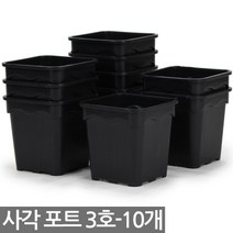 사각 포트 2호 12개 - 모종판 연결포트 모종 다육포트 트레이 재배 씨앗 연결포트 묘목 모판 화분 다육이, 06_세인_사각포트(3호) x 10개