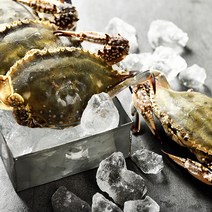 산지직송 제철 생물 꽃게, 1box, 2kg (2-4미 내외)