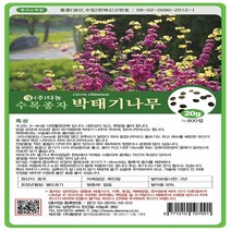 다농원예가든 박태기나무20g