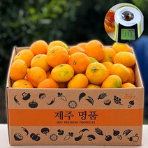[제주 산지직송] 당도선별 고당도 프리미엄 하우스귤 감귤 당도보장 못난이 가정용 선물용 제주도귤, d. 하우스귤 5kg 로얄과 (40/55과)