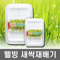새싹재배기, 1개