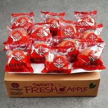 (리더스팜) 썬플러스 세척사과 5kg(22-32과내외)정품
