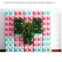 GARDEN 플랜트월 수직 정원 화분 자동 급수 21X13CM, BG01수직정원화분