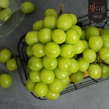 [맛다름][국내산] 프리미엄 샤인머스켓 2송이(개당500~600g내외)_안전포장, 2개, (개당500~600g내외)