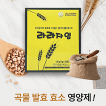 라라자임 곡물 발효 효소 영양제 270g(3gx45포x2박스)