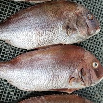 국내산 반건조 특대사이즈 참돔2마리, 2개