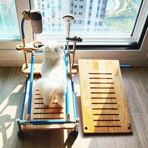 건우펫 헬스케어 다기능 목욕 미용 드라이 놀이 운동 셋트, 블루, 1개, 2kg