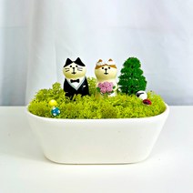 모모커머스 스칸디아모스 화분 신혼부부선물/개업 화분 선물/오픈 선물 이끼, [행복하세요] 신혼부부 선물