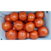 [ 매일 새벽경매 입고 ] 초신선 완숙토마토 (Tomato) 1 / 2 / 5kg 가락시장 새벽경매, (특1등급) 완숙토마토 1kg (2L-2S)