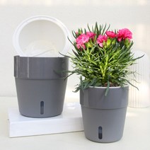 급수 수위창 화분 A605 13x14cm 식물 건강 물주기 수분 공급 2개, A605자동급수화분