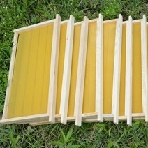 양봉 소초광 벌집 밀랍 꿀채집 벌꿀집 벌통 양봉틀, 프레임 10팩