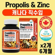 봄 겨울 사계절 목 환절기 선물 추천 프로폴리스 플로폴리스 프로플리스 폴리폴리스 목 플라보노이드 활성 산소 제거 항산화 목스프레이 코스트코 추천