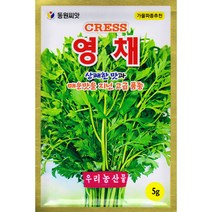 동원 영채씨앗 5g, 1개