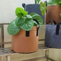 부직포 화분 베란다 텃밭 대파 키우기 10갤런 40x30, 3화분10갤런-브라운