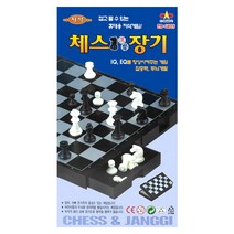 대신전자-자석 체스 장기
