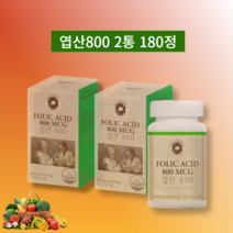 엽산 800 활성 임산부 엽산 유기농 트루포뮬러 임신부 대디 엽산 영양제 1통 90정, 2통, 500mg 90정