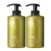 TS 진저 샴푸 500g 2개