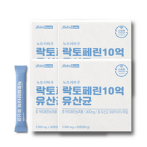 뉴트리하루 락토페린10억 유산균 장용 고농축 2000mg, 60g*4팩 25%추가할인, 4개, 60g