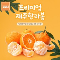 고씨네 특급 한라봉3kg 천혜향 제주한라봉 한라봉레드향 천혜향 한라봉 제주한라봉 제주천혜향 한라봉제철 제주도한라봉 제주레드향 제주도레드향 천혜향제철, 본상품