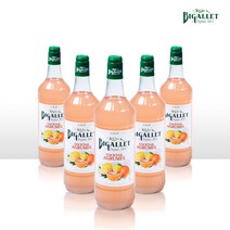 비갈레 시트러스 시럽 1L 프랑스 상큼한 자몽 레몬 커피 디저트 토핑, 1개