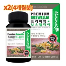 네추럴라이즈 프리미엄 보스웰리아 1000mg x 120정 효능 성분 영양제 홈쇼핑, 4개월분