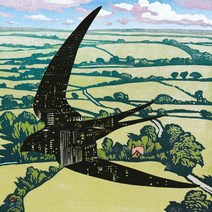 [LP] Bibio (비비오) - Sleep On The Wing [LP]