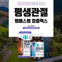 뼈골절에좋은 뼈잘붙는 무릎 허리 손가락 손마디 팔꿈치 관절 연골 평생 엠에스엠 msm msn 영양제, 1BOX((1개월분)