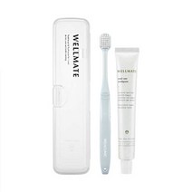 웰클리닉 1셋트 (WELLCLINIC) 휴대용 칫솔 치약 세트 여행용 사무실, 1개