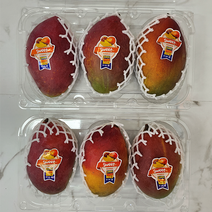 [품질선별] 브라질 애플망고 로얄 항공수입 선물세트, 애플망고 6과 가정용