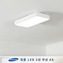더엘이디 시스템 LED방등 30W (삼성칩 KC인증), 화이트