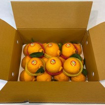 제주 고당도 한라봉 가정용 5kg (15-19과) 제주도 동문시장 한일농수산, 한라봉 5kg 가정용 15-19과