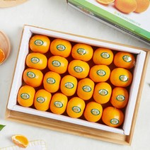 고당도 제주 불로초 감귤 3kg 로얄과, 1, 단품