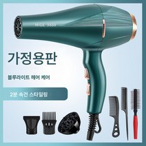 전기 드라이기 가정용 대풍 음이온 헤어 케어 무음 미용실 전용 고출력 속건 남성 드라이기, 녹색가구스타일블루라이트음이온헤어케어-여섯