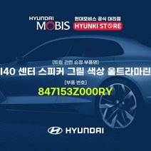 현대모비스 I40 센터 스피커 그릴 색상 울트라마린 (847153Z000RY)