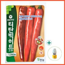 2023 고추종자 팜한농 티탄빅히트 1200립 + 뿌리나원500ml 세트, 1200립+뿌리나원500ml