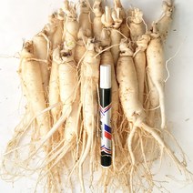 [GAP 취득 농부의인삼] 클수록 진한맛 특가할인판매 인삼 수삼 6년근 5년근 난발 파삼 세척 삼계탕 선물 산지직송 홍삼액 정성가득, 세척안함, 9.정품가정용(750g)-15뿌리내외