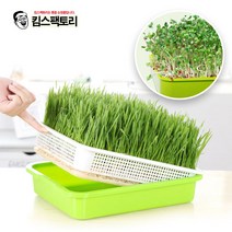뚜껑있는 콩나물 시루 채소 재배기 수경재배기 새싹보리 야채키우기, 03. 웰빙 콩나물 재배기_블랙