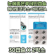 눈건강 루테인플러스 마리골드꽃추출물 헤마토코쿠스 2통 메리골드추출 매리골드추출 루테인캡슐형 헤마토코쿠스추출물 루테인영양제 눈영양제 눈건강영양제 루테인캡슐 루태인 눈건강루테인 아이