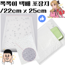 세종상사 고급 안전 택배 봉투 가로22cm 세로25cm 상단 4cm에어캡 뽁뽁이 내장 포장지, 180매