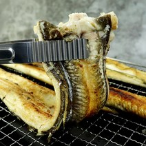 통영에서 갓 잡아올린 자연산100% 활장어 바다장어 1kg 산지직송 여름보양식 장어구이, 자연산 통영 활 장어 대(1~3미) 1kg, 1개
