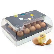 Jumbl Clear Egg Incubator 병아리 부화기 인큐베이터 자동 디지털 부화 기계 온도 제어 계란 LED 캔들러, 기본, 4캔 ﻿