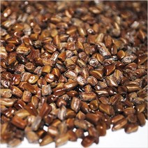 초록사랑 국내산 볶지않은 결명자, 1개, 1kg