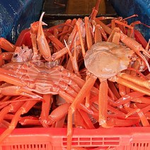 제철﻿ 맛있는 울진홍게 연지홍게 3마리 추가 증정, [자숙]연지홍게 사이즈랜덤 : 8~10마리 총 3kg