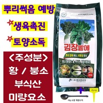 김장밭에 무 배추 김장채소 전용비료 가을 배추밭 무밭 비료 붕사 붕소 결핍예방 부식산 토양소독 미량요소 복합비료 2kg 텃밭 영양제 밑거름 웃거름 (계량수저 식물이름표 증정)