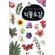 식물도감(봄 여름 가을 겨울) (봄 여름 가을 겨울 도감)