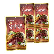 의리있는 국산 한양식품 육포 45g 5개