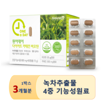 녹차추출물 카테킨 효능 다이어트 순식물성원료 활력비타민 비오틴 레몬밤 모로오렌지 추천, 1박스