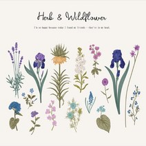 옥스포드컷트지)허브와일드플라워-2번 A3