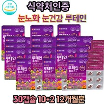 LUTEIN 루테인 플러스 12개월분 비타민A 비타민B 아연 눈건강 플러스